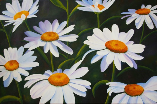 Daisy-Chain-Jan-2011B